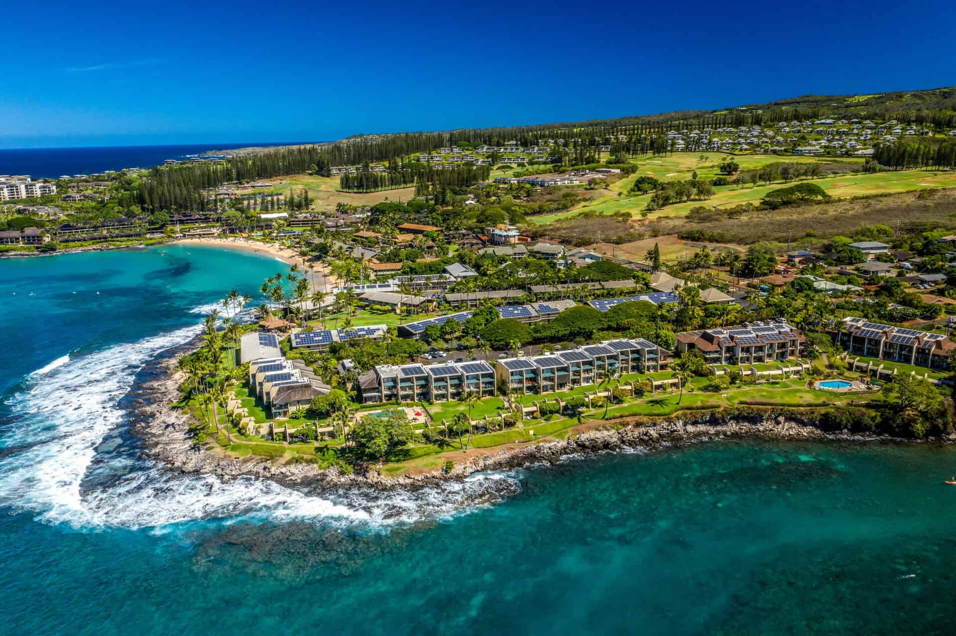 untitled 38